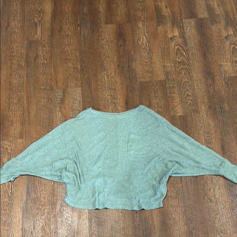 Ami Sage Knit Sweater
